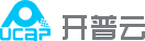 互联网内容服务平台和大数据服务提供商